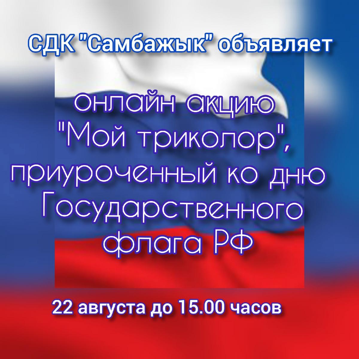 Мой триколор. День государственного флага России 22 мая. Мероприятия ко Дню российского флага. День гос флага кг